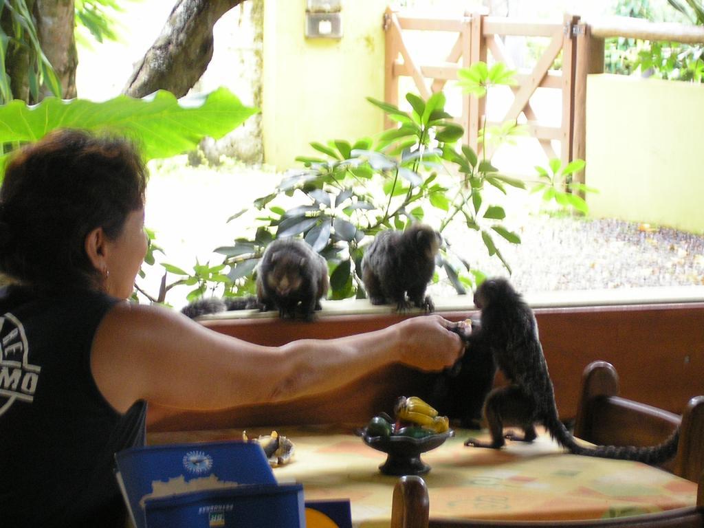 Pousada Solarium Itacaré Zewnętrze zdjęcie